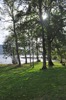 Autumn sun with trees by loch