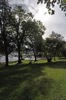 Autumn sunshine with tree shadows