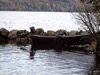 Boat, outboard let's go