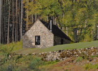 bothy pencil